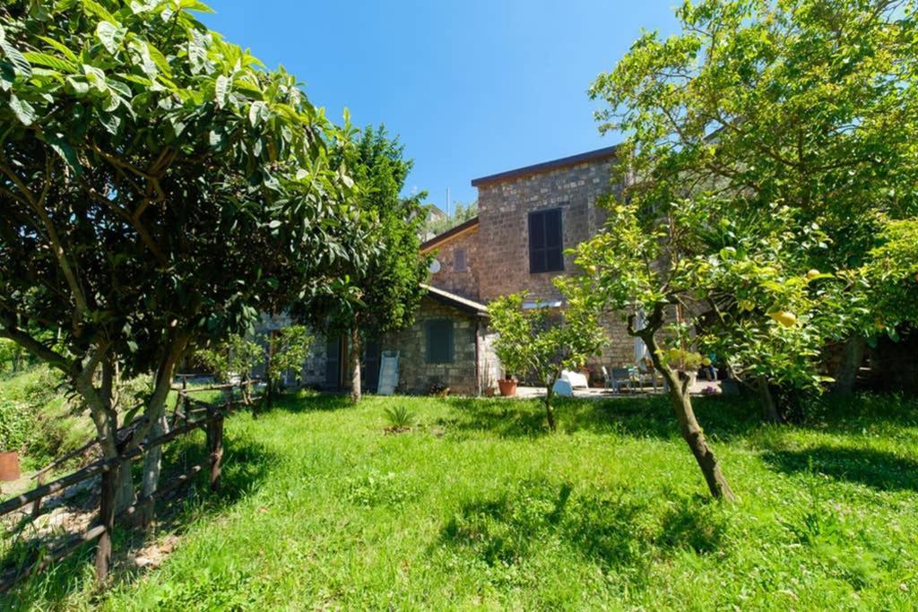 Domus Aqua Viva Villa Massa Lubrense Exterior photo